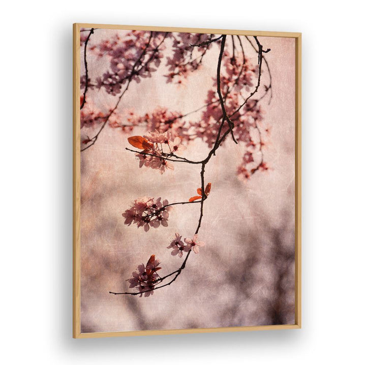 Delicate cherry blossoms in bloom highlight our VINTAGE PINK, FLORAL FLOWER PAINTINGS, perfect for any serene space.