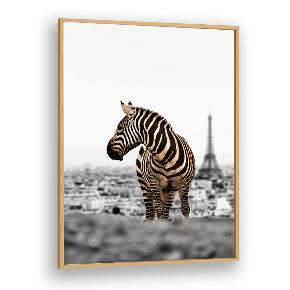 Zebra artwork featuring the Eiffel Tower, perfect for your space with NO WAY HOME, ANIMAL PAINTINGS collection.