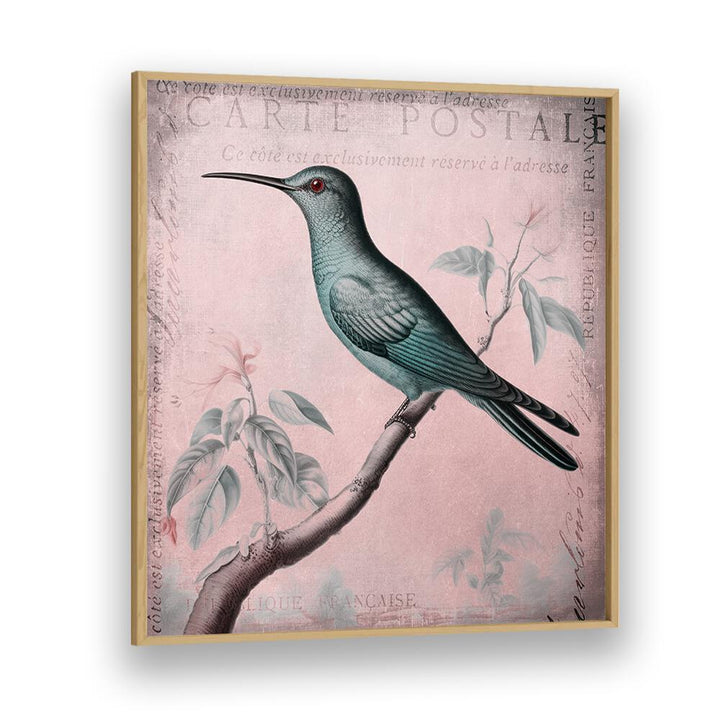 HUMMINGBIRD ROMANCE PASTEL PINK II BY ANDREA HAASE , WILDLIFE POSTERS, WILDLIFE PAINTINGS