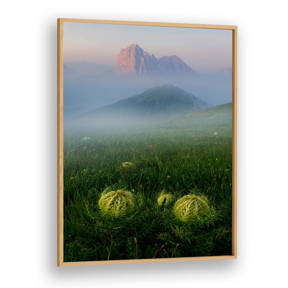 PROTECTION OF THE ALPS , LANDSCAPE PHOTO PRINTS