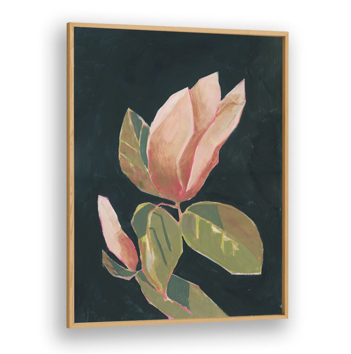 MAGNOLIA IN DARK BACKGROUND