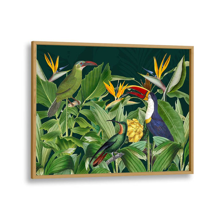 RAINFOREST BIRDS BY ANDREA HAASE , WILDLIFE POSTERS, WILDLIFE PAINTINGS