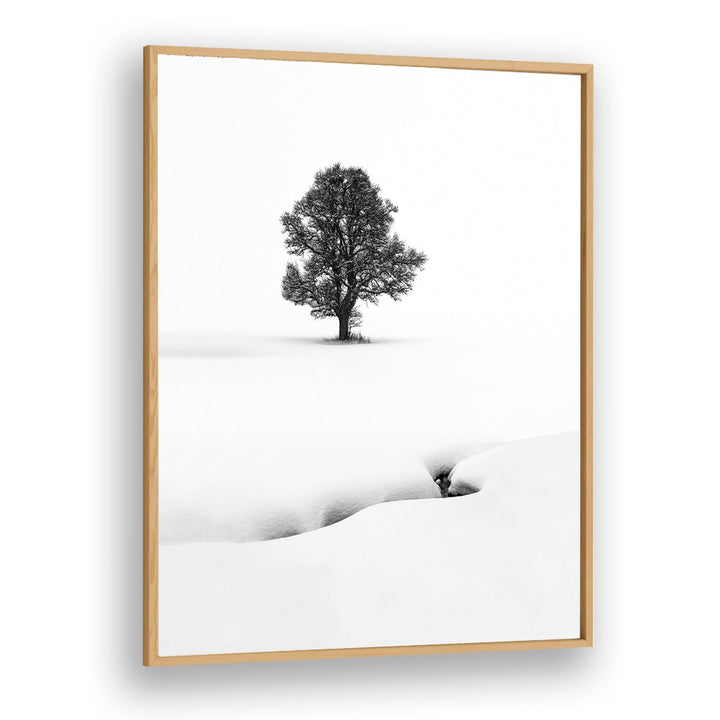 LE SOLITAIRE BY MARC PELISSIER , LANDSCAPE PHOTO PRINTS