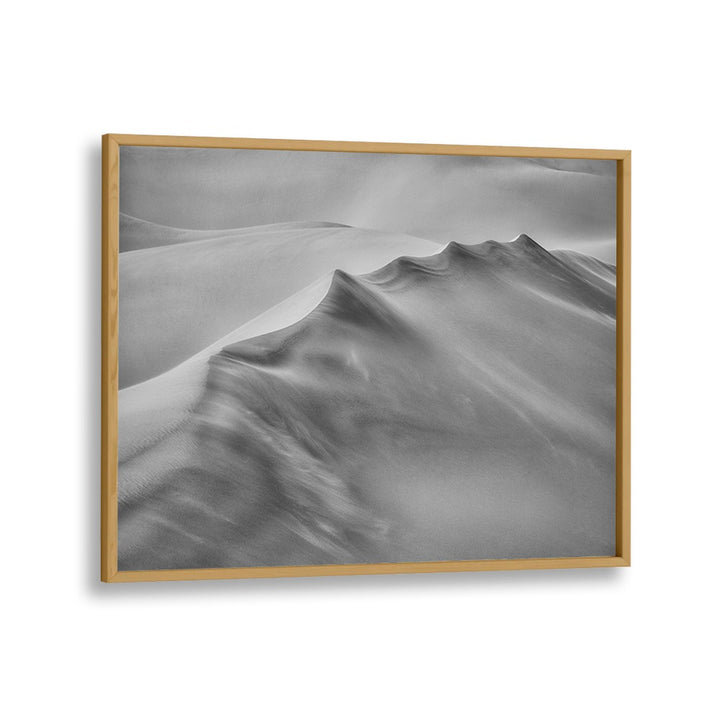 Stunning BLOWING SAND, PHOTOGRAPHY PRINTS showcasing the dynamic beauty of nature in light and shadow. Perfect for decor.