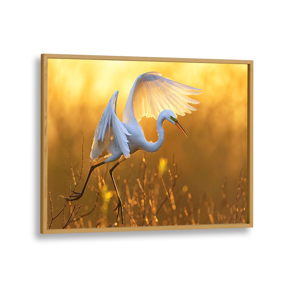 MORNING EGRET BY MICHAEL ZHENG , LANDSCAPE PHOTO PRINTS