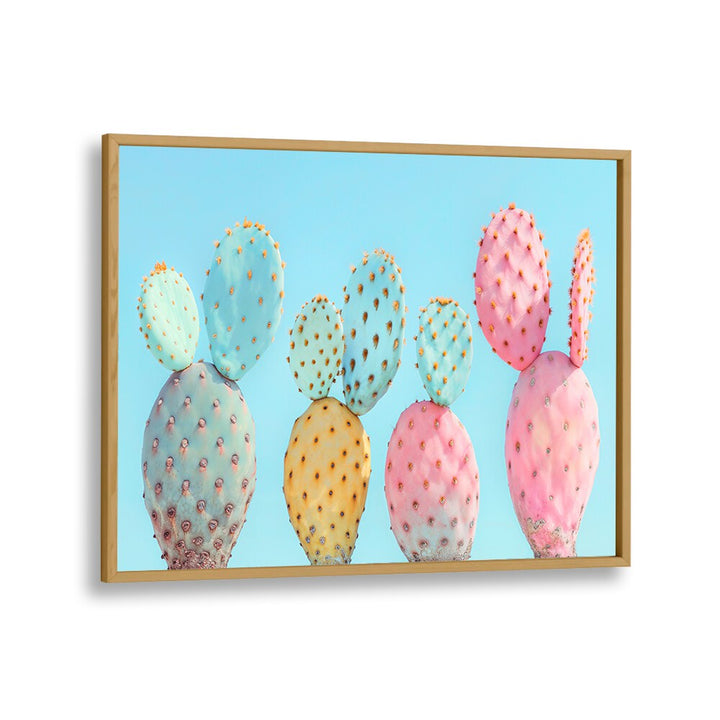 COLORFUL CACTUS  , BEACH PAINTINGS