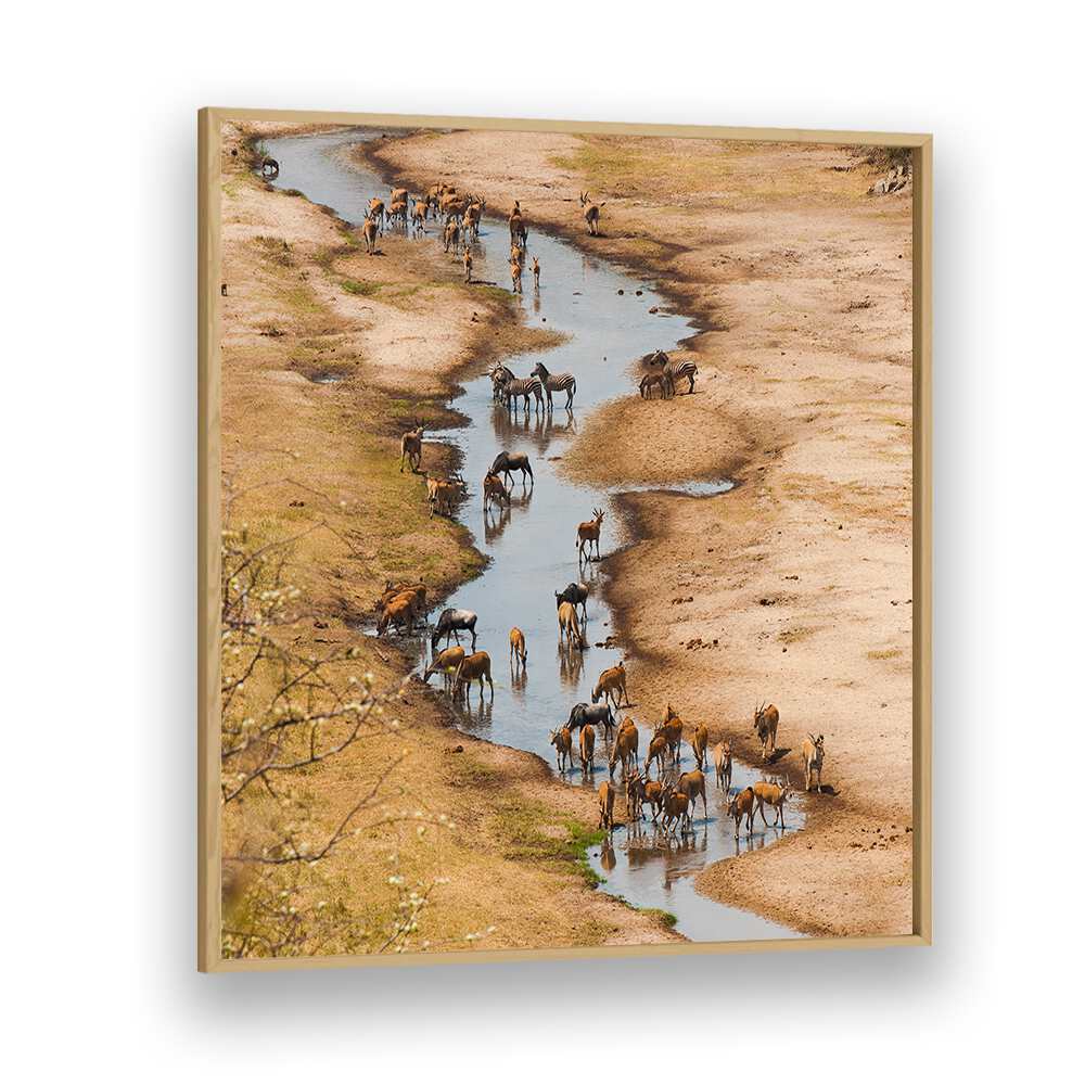 THE TARANGIRE RIVER BY MARC PELISSIER , LANDSCAPE PHOTO PRINTS