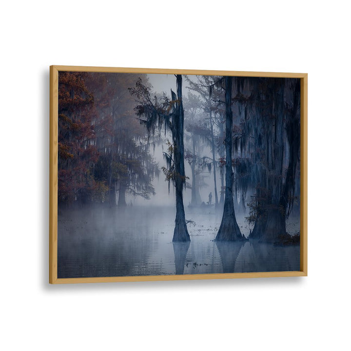 HAUNTED FOREST BY MICHAEL ZHENG , LANDSCAPE PHOTO PRINTS