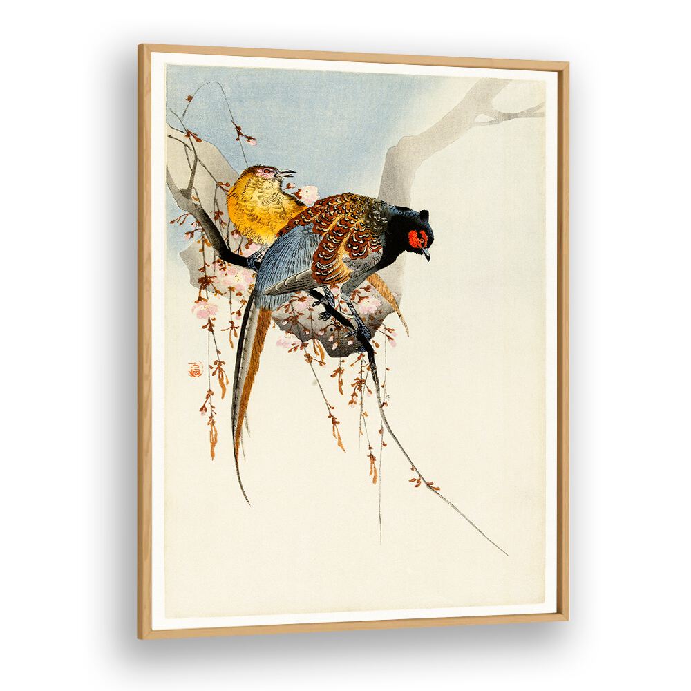 PHEASANT COUPLE AND PLUM BLOSSOM (1900 - 1930)  , JAPANESE PAINTINGS , JAPANESE ART PRINTS