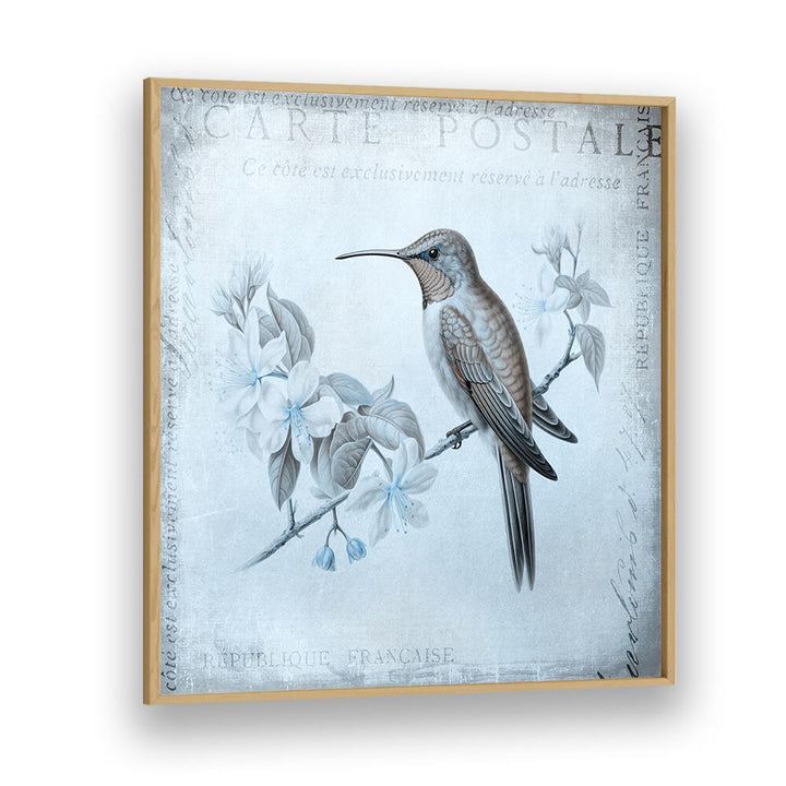 HUMMINGBIRD  ROMANCE AQUA BLUE BY ANDREA HAASE , WILDLIFE POSTERS, WILDLIFE PAINTINGS