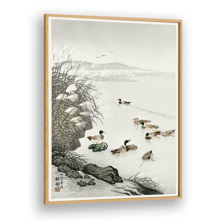 DUCKS IN THE WATER (1931)  , JAPANESE PAINTINGS , JAPANESE ART PRINTS