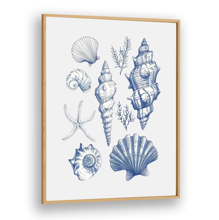 Elegant SHELL COLLAGE, BEACH PAINTINGS featuring beautifully arranged seashells for a coastal home decor vibe.