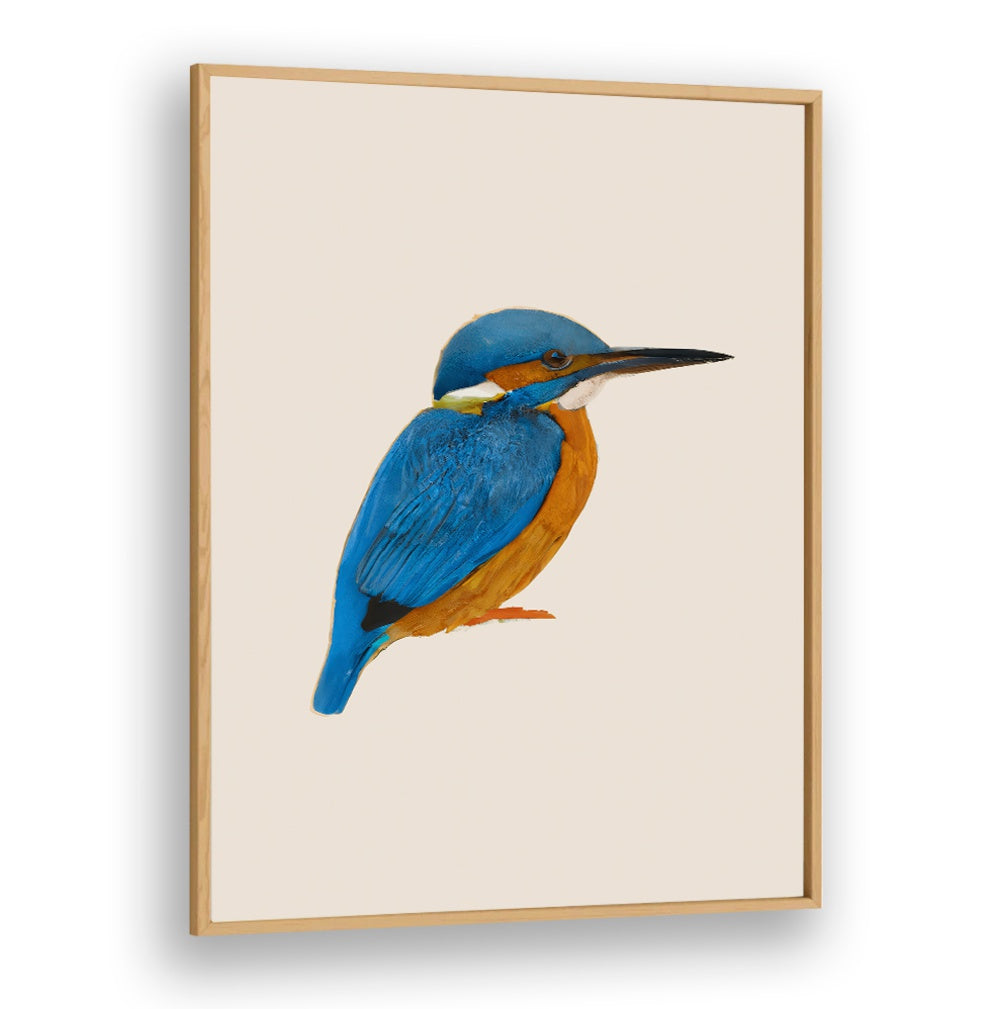 RAINFOREST REBEL , ANIMAL PAINTINGS of a vibrant blue and orange kingfisher bird by Oakwood Plain.