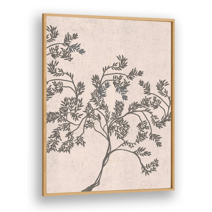ACACIA NILOTICA , FLORAL FLOWER PAINTINGS