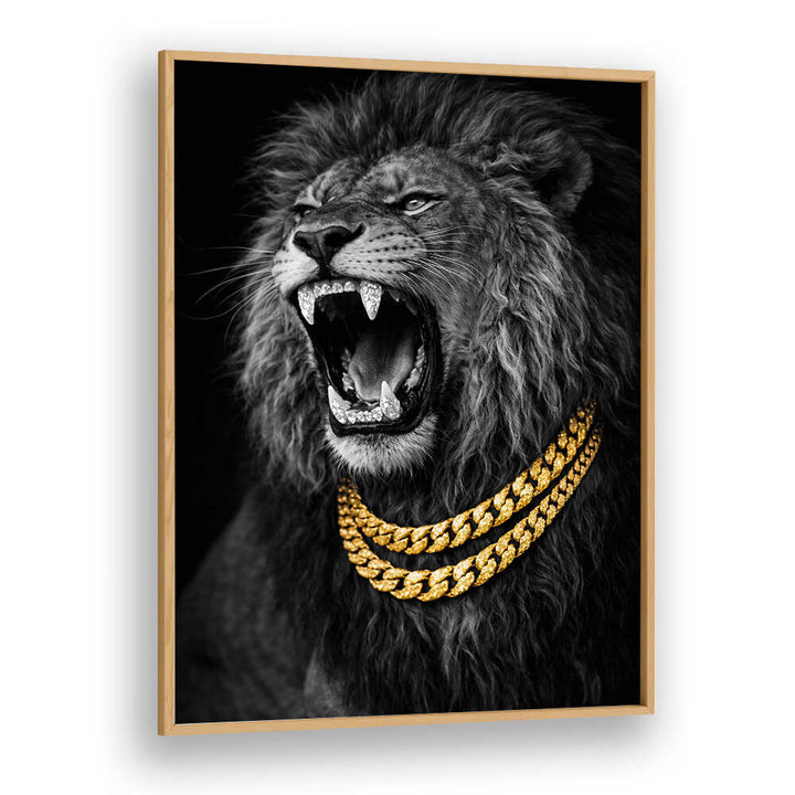 BEJWELED CONCEPT PHOTOGRAPHY