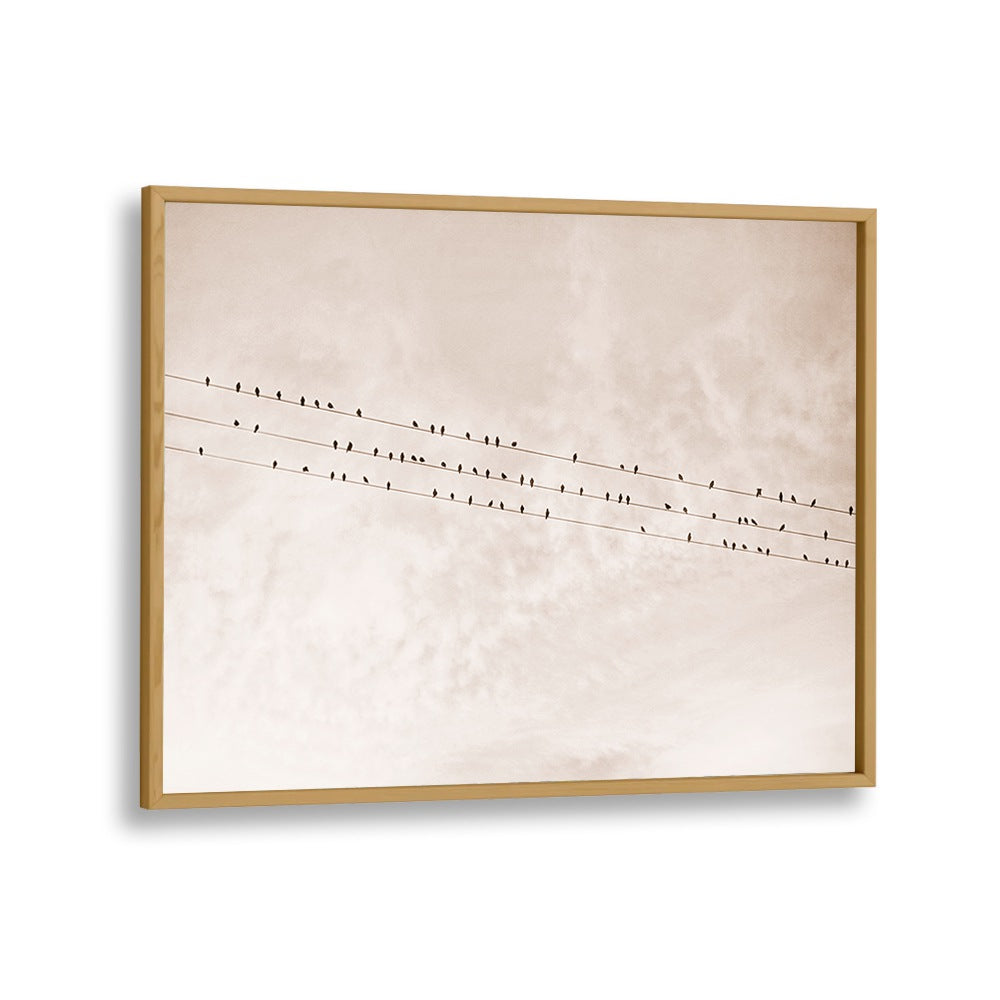 Elegant BIRDS ON A WIRE BEIGE, ANIMAL PAINTINGS capture nature's beauty with soft tones and striking silhouettes.