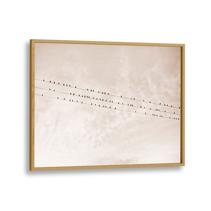 Elegant BIRDS ON A WIRE BEIGE, ANIMAL PAINTINGS capture nature's beauty with soft tones and striking silhouettes.