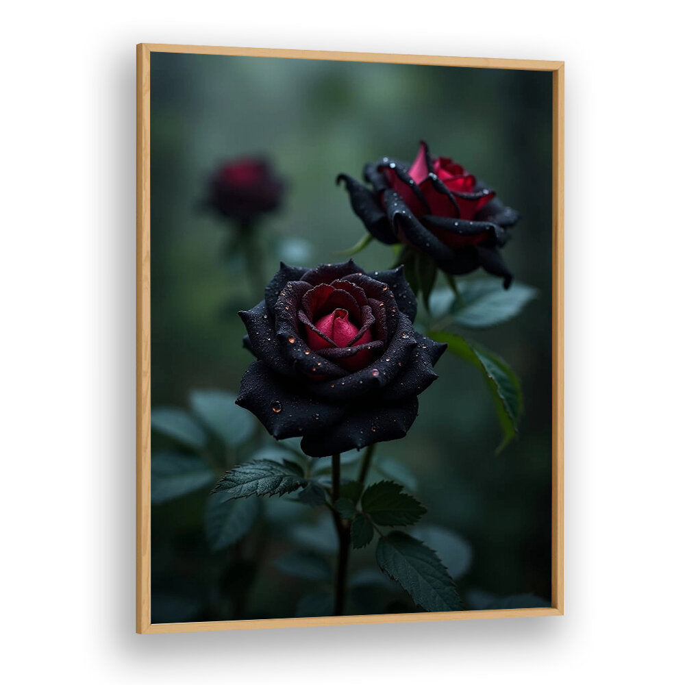 BLACK ROSES