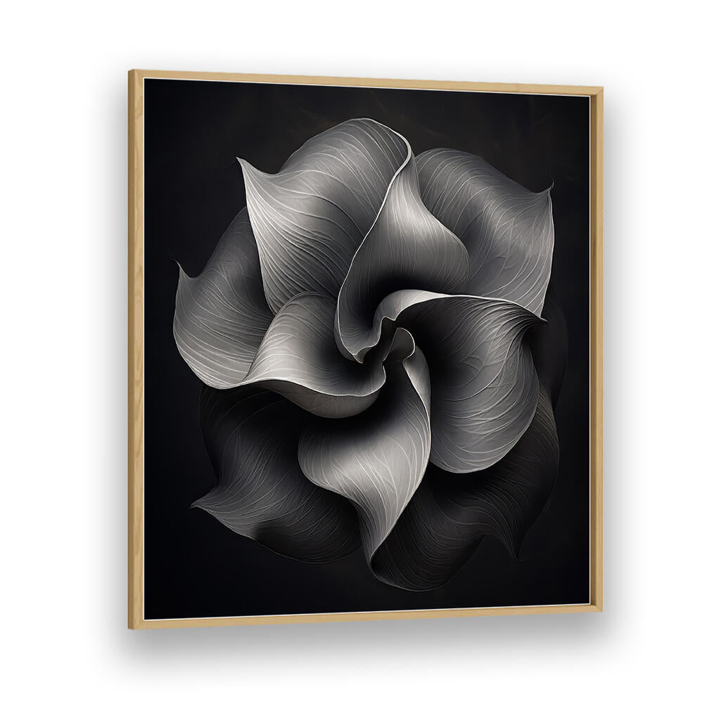 BLACK AND WHITE FLOWER V , ORGANIC FORMS