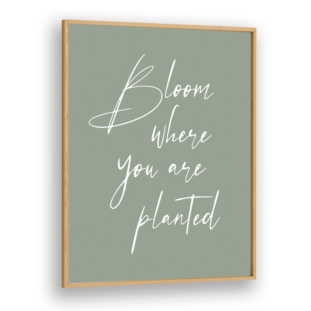 BLOOM , QUOTES & TYPOGRAPHY POSTERS