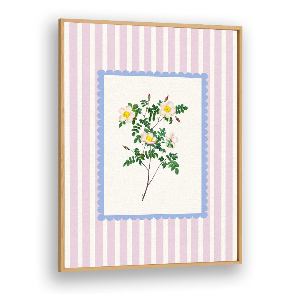 BLUSH WILD ROSE STUDY