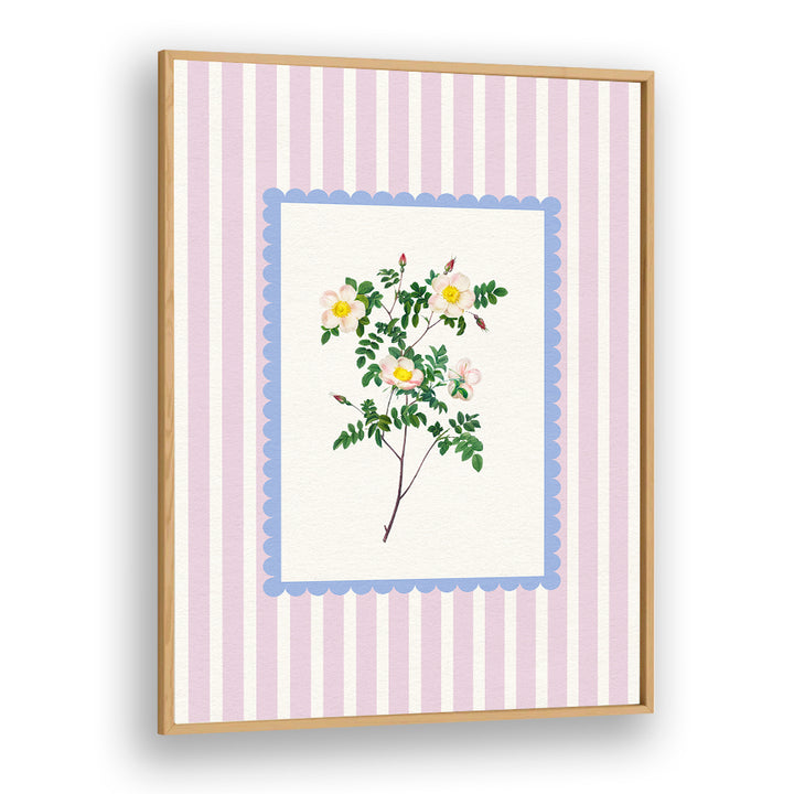 BLUSH WILD ROSE STUDY