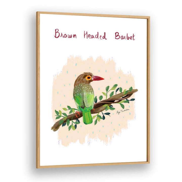 BROWN HEADED BARBET