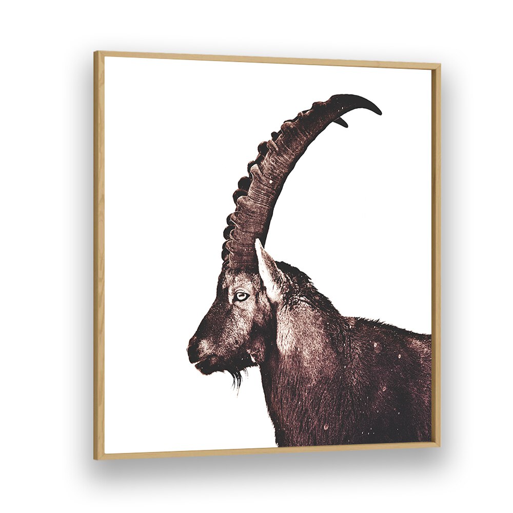 Majestic Capricorn in snow showcased in stunning animal paintings, perfect for nature lovers and home decor.