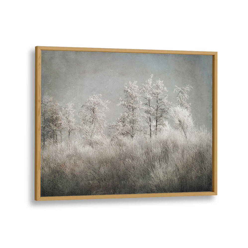 COLD MORNING , FLORAL FLOWER PAINTINGS