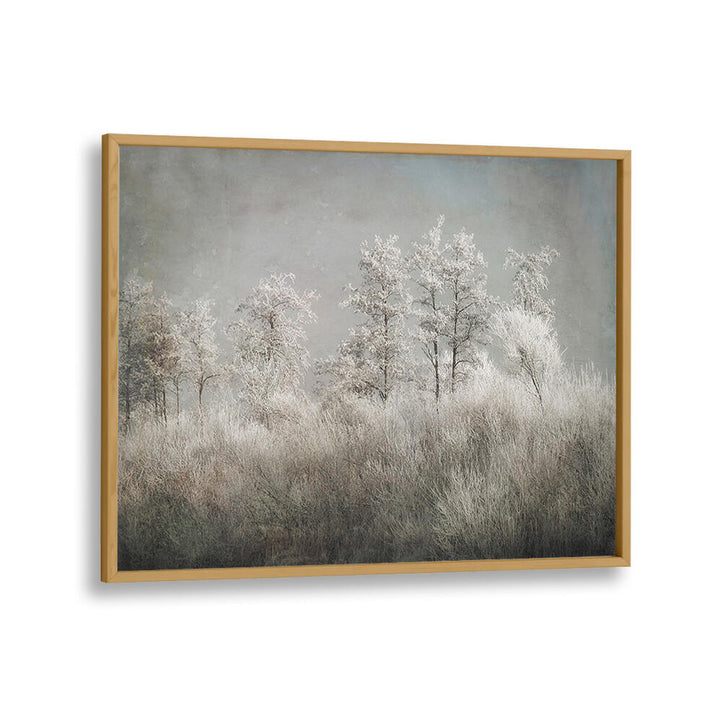 COLD MORNING , FLORAL FLOWER PAINTINGS