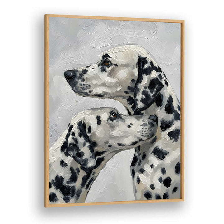 DALMATION DOG