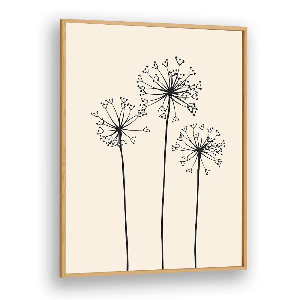 DANDELIONS V