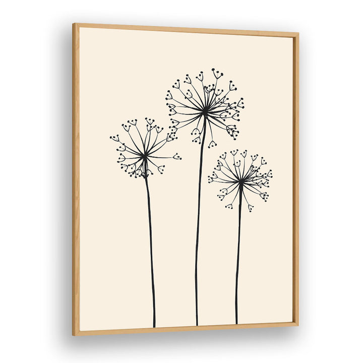 DANDELIONS V