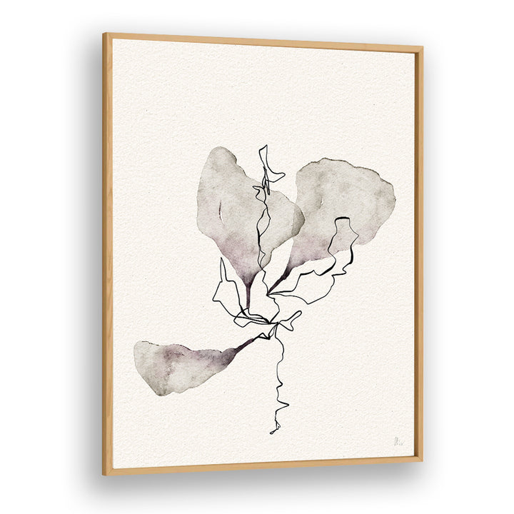DELICATE BOTANICAL STUDY