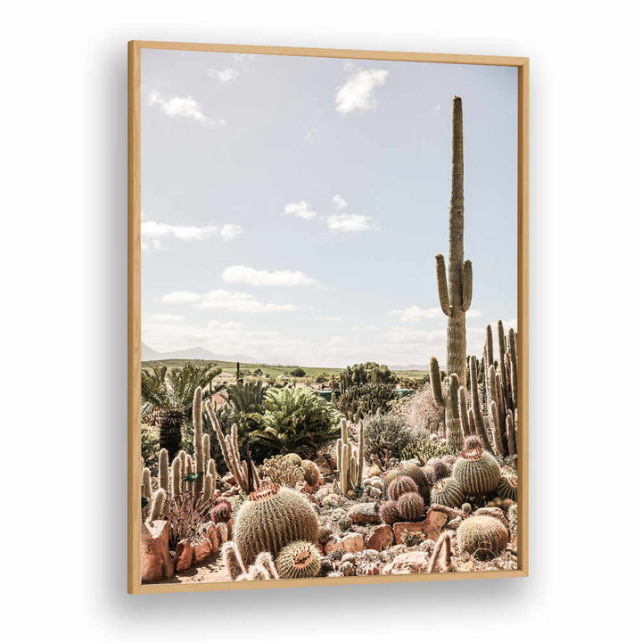 DESERT SYMPHONY , COWBOY wall art by Oakwood Plain showing saguaro and barrel cacti in sunlit desert