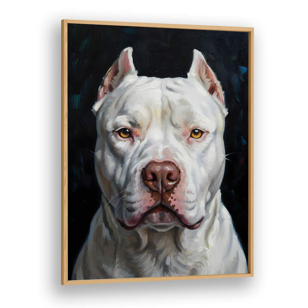 DOGO ARGENTINO