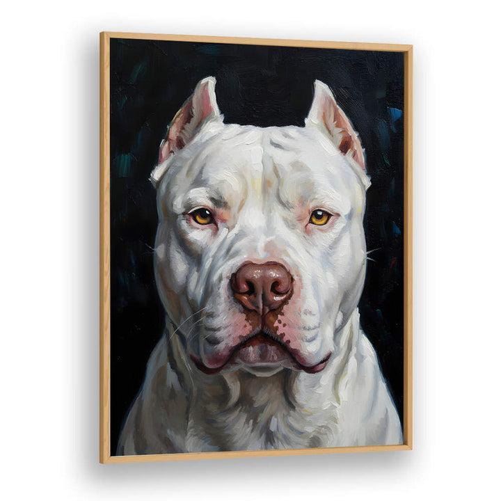 DOGO ARGENTINO
