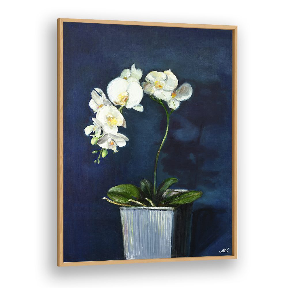 ELEGANT WHITE ORCHIDS