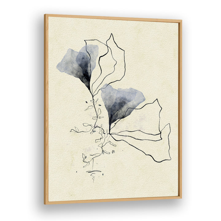 ETHEREAL MARINE BOTANICALS