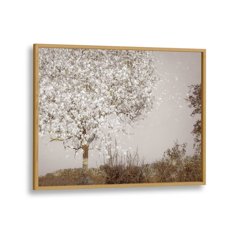 FRUIT TREE , FLORAL FLOWER PAINTINGS