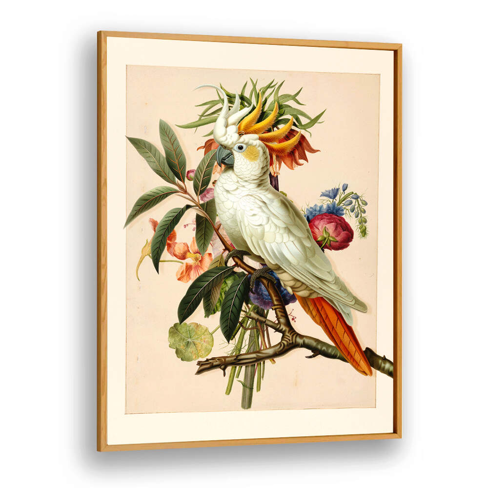 HENRIËTTA’S BIRD