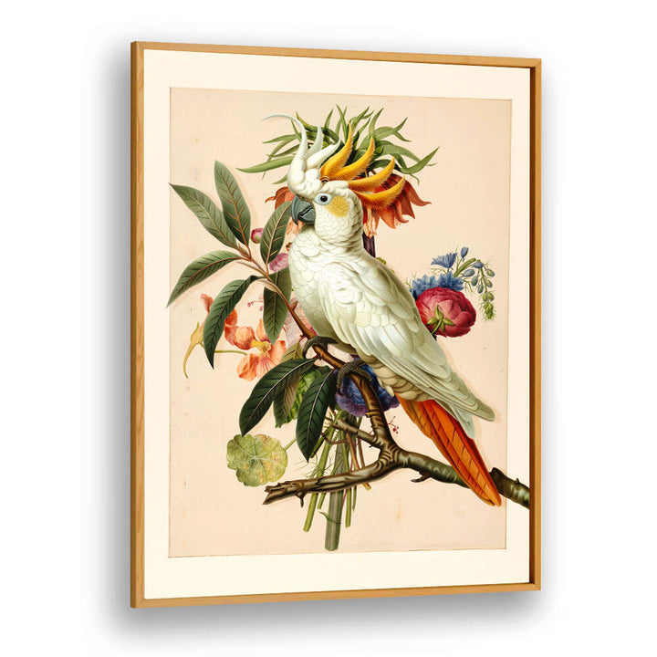 HENRIËTTA’S BIRD