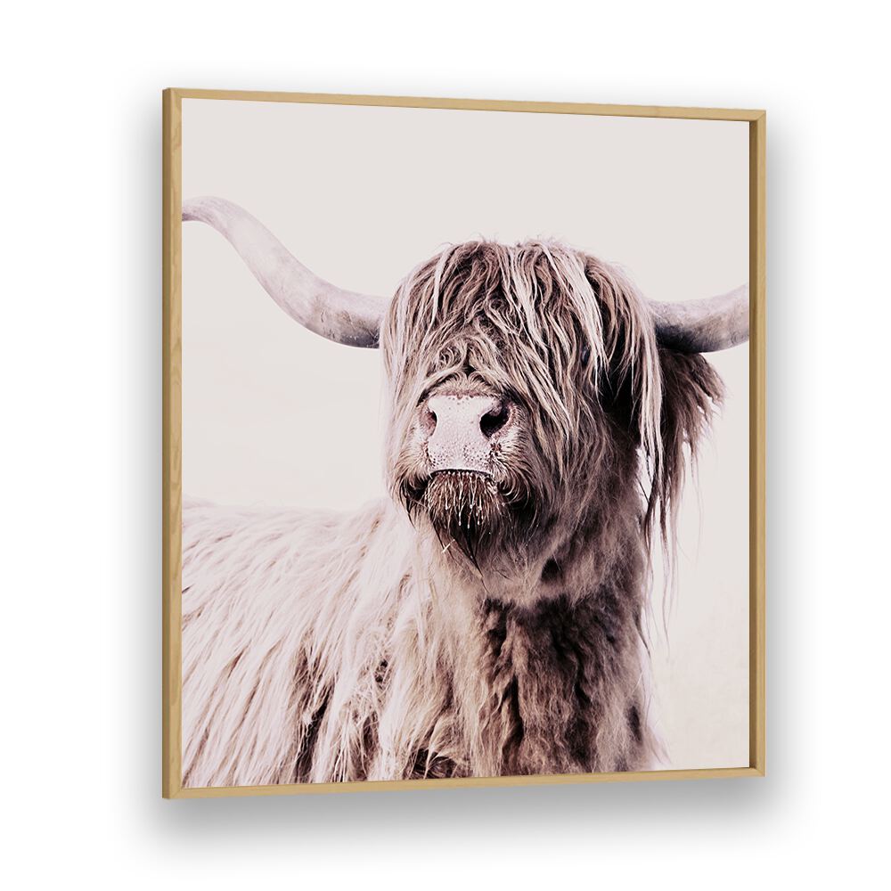 Stunning Highland Cattle, Animal Paintings showcasing rustic charm and wildlife beauty, perfect for art lovers.