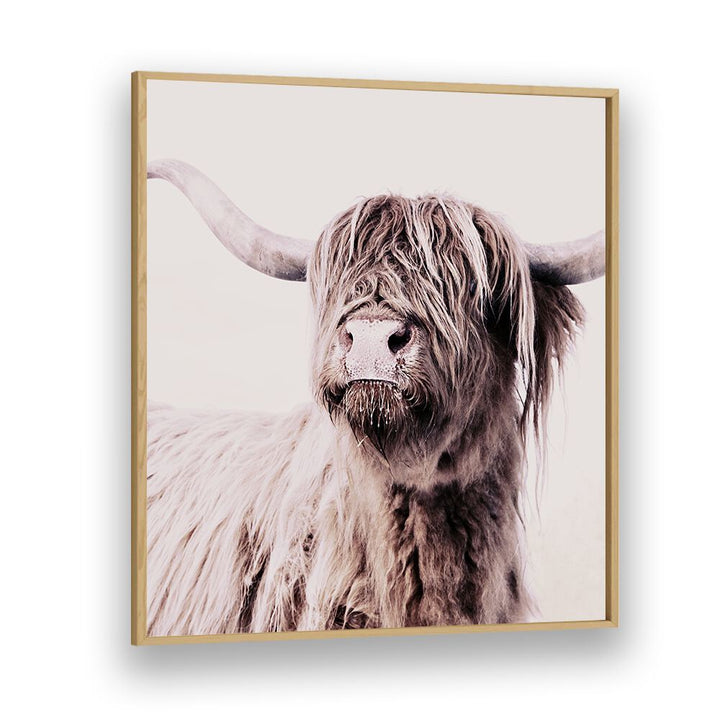 Stunning Highland Cattle, Animal Paintings showcasing rustic charm and wildlife beauty, perfect for art lovers.