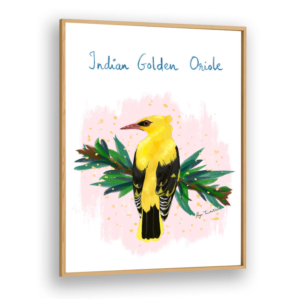 INDIAN GOLDEN ORIOLE