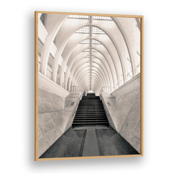 INSIDE CALATRAVA
