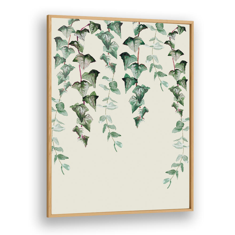 IVY Y EUCALYPTUS