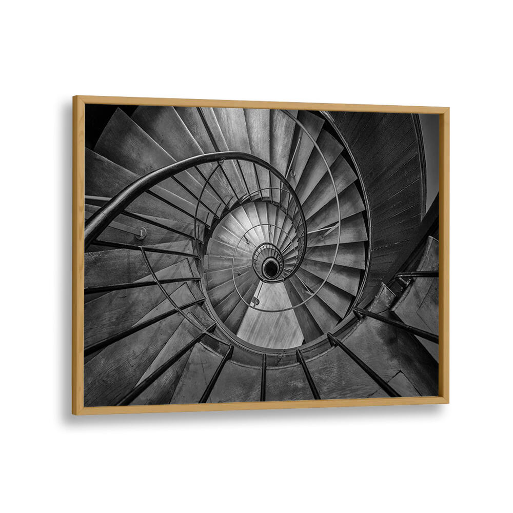 NAUTILUS II