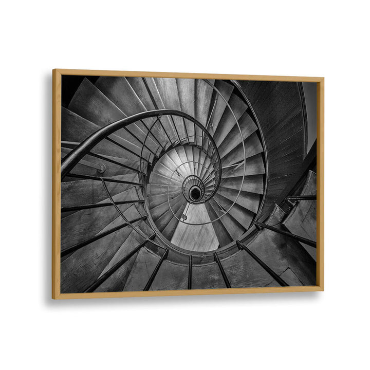 NAUTILUS II