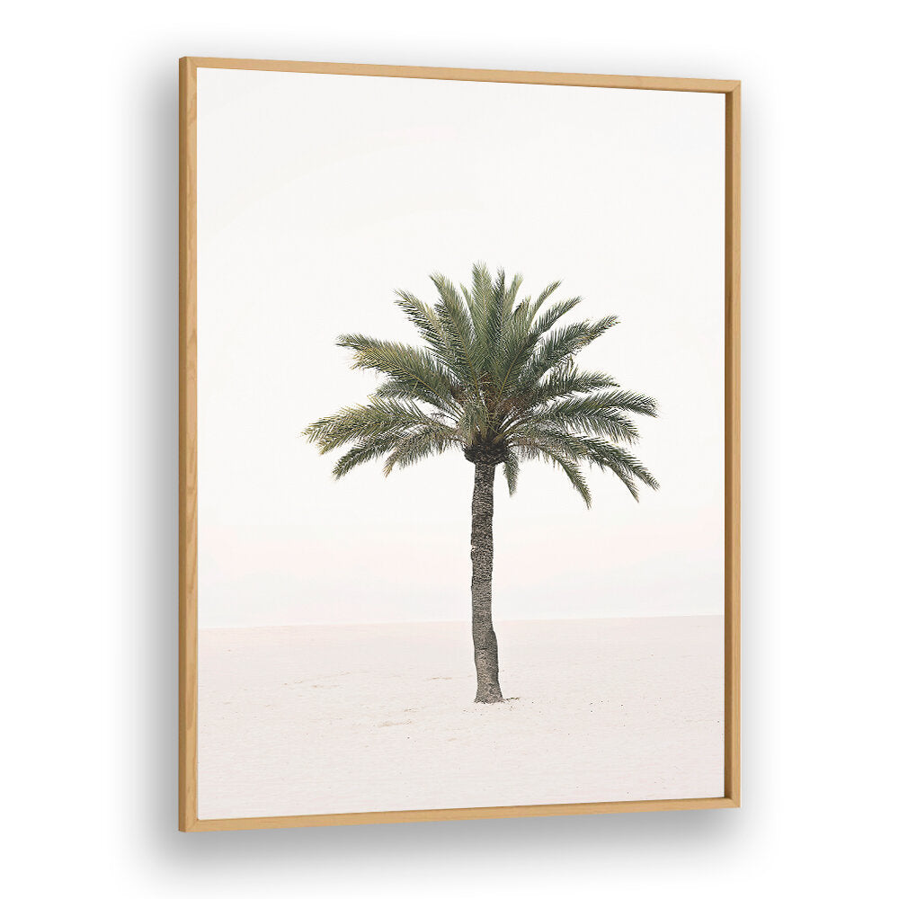 PALM II , BEACH PAINTINGS